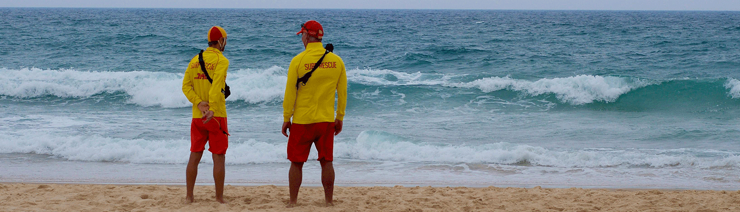 lifeguard-cover